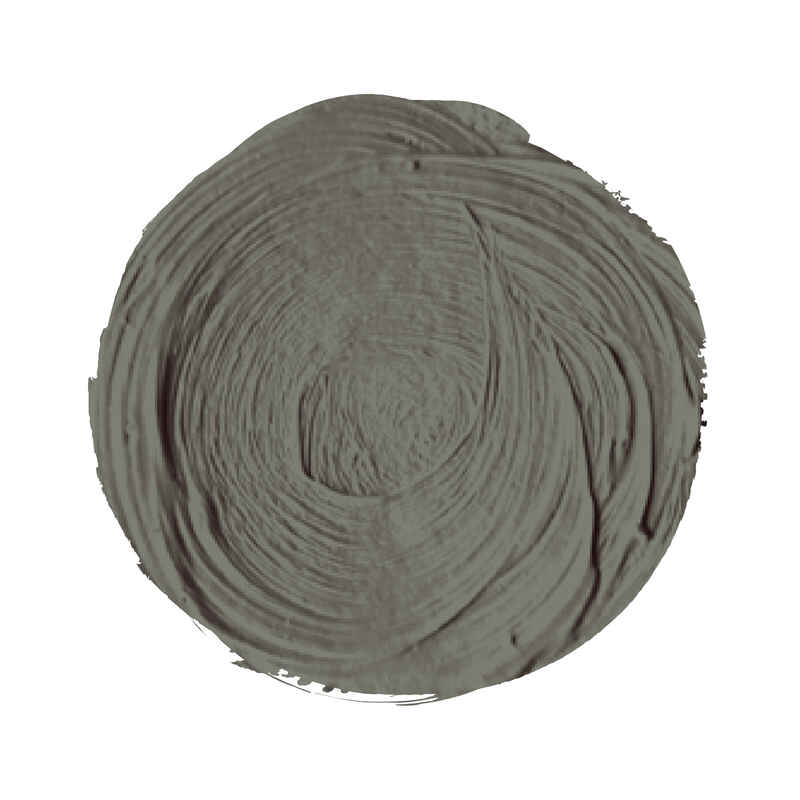 Titán Óleo ExtraFino 60ml Serie 1 Número 79 Color Gris Titan