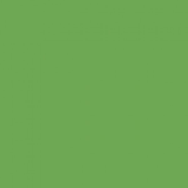 Vallejo Textilfarbe Farbe Nummer 55 Farbe Mint 60ml